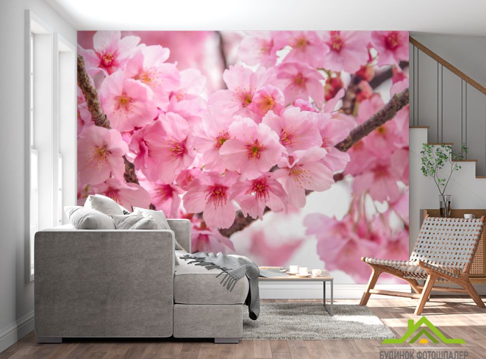 выбрать Фотошпалери дві гілки сакури Фотошпалери Квіти на стіну