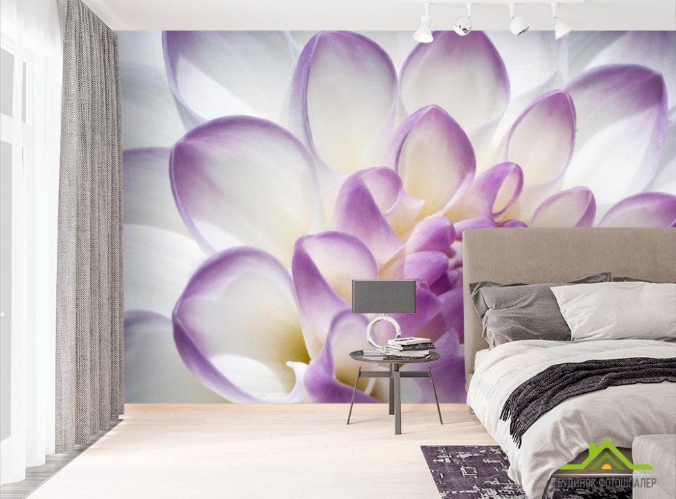 выбрать Фотообои Лепестки пиона бело-фиолетовые Фотообои Пионы на стену