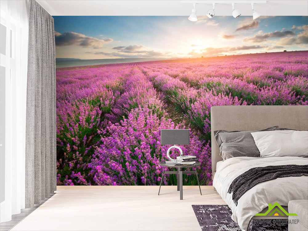 Фотообои Лавандовое поле