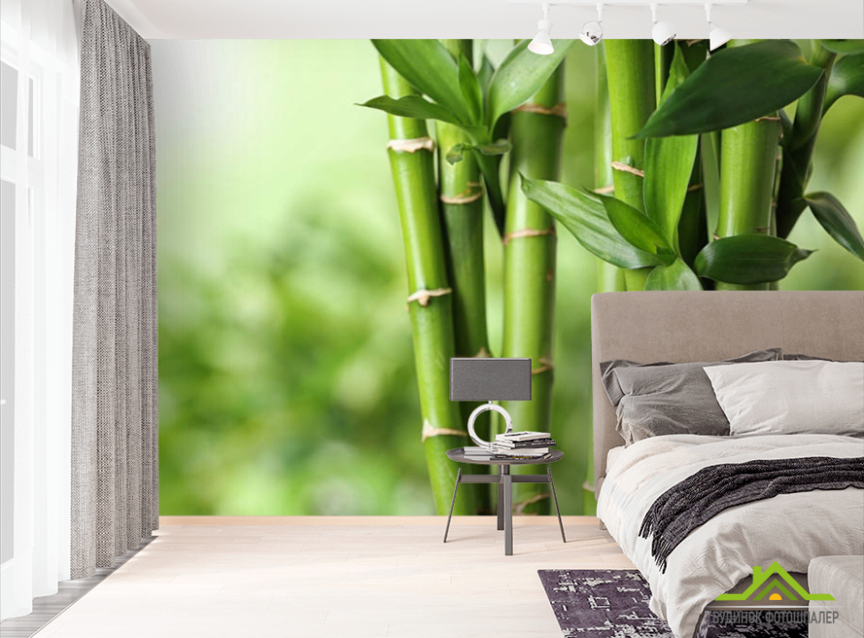 выбрать Фотошпалери бамбук Фотошпалери різні на стіну