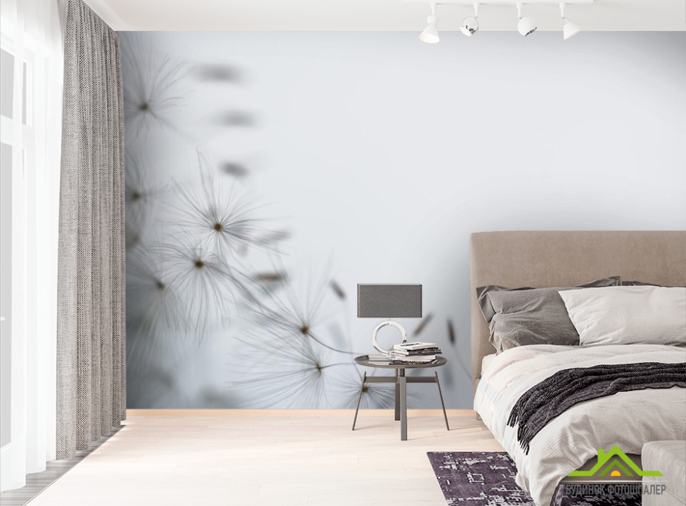 выбрать Фотообои одуванчик семена  на стену