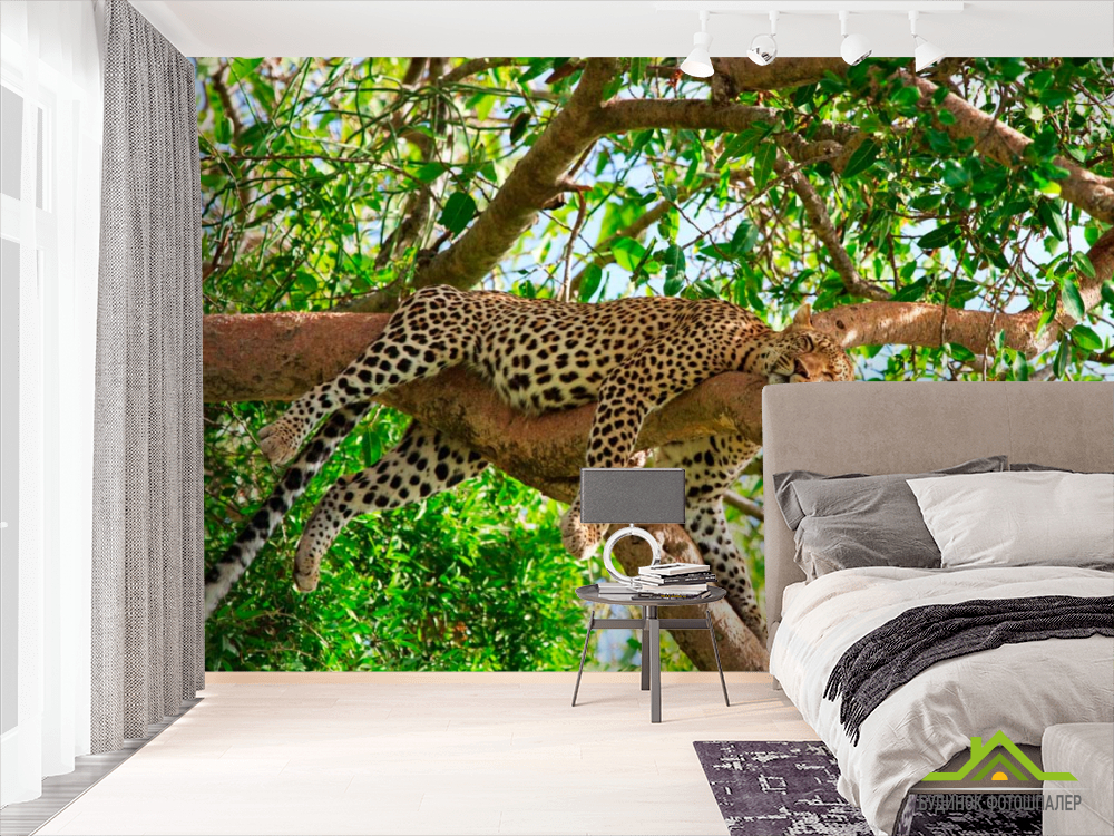 Фотообои Спящий гепард