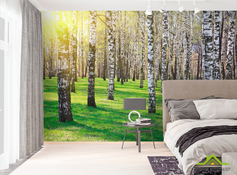 выбрать Фотообои Лес, березы, солнце Фотообои лес на стену