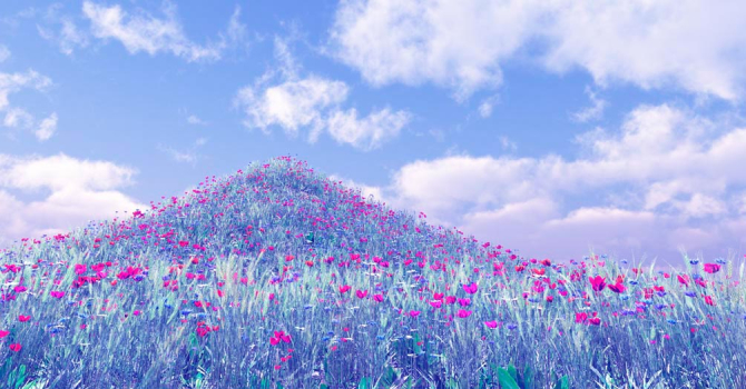 Фотообои Гора, маки