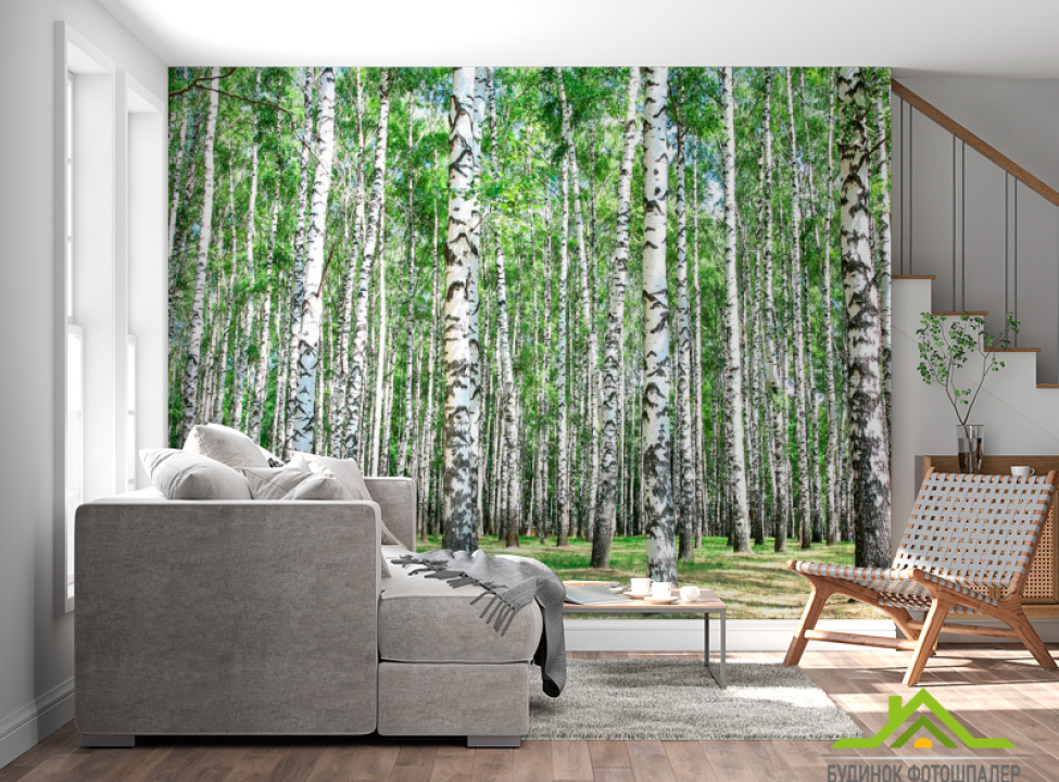 выбрать Фотообои Лес, березы Фотообои лес на стену