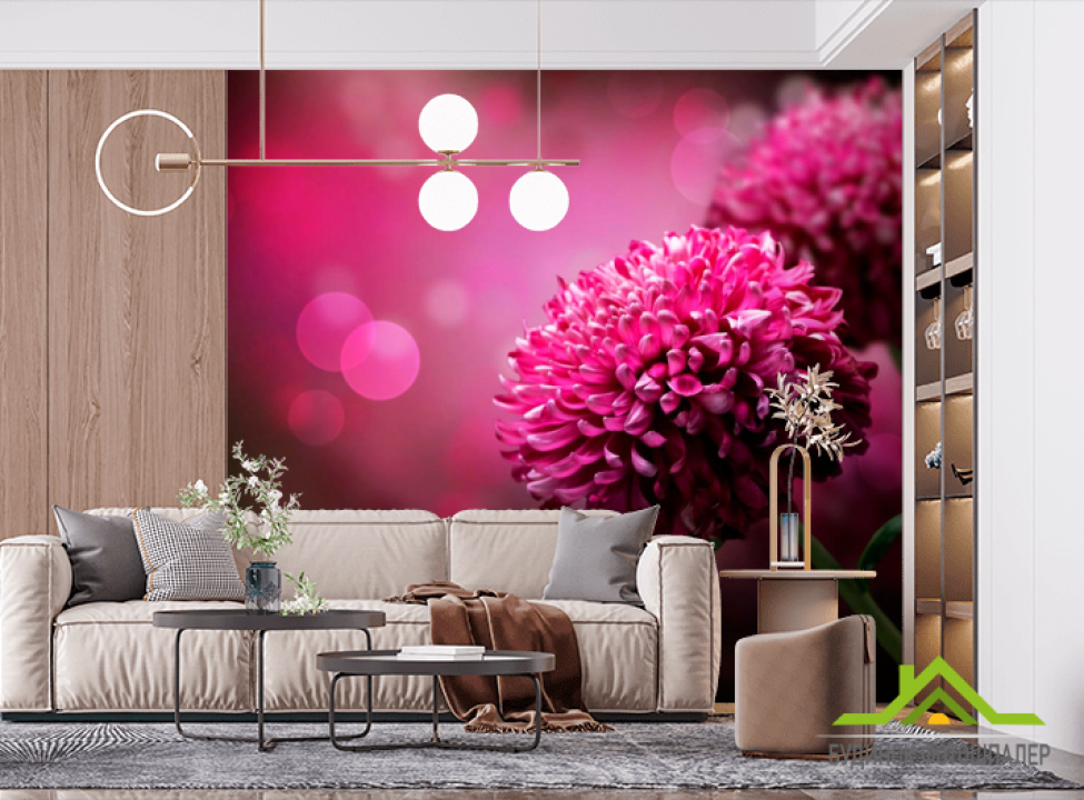 выбрать Фотошпалери Малинові хризантеми Фотошпалери Квіти на стіну