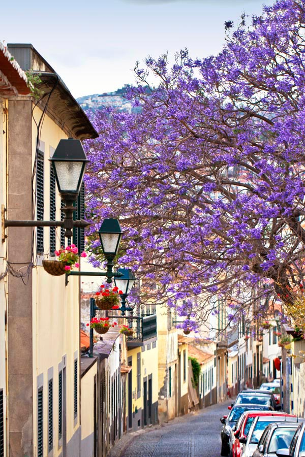 Фотошпалери Вуличка з машинами