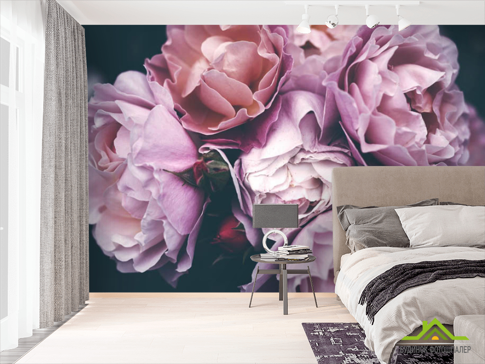 Фотошпалери Рожеві троянди