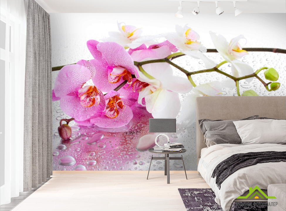 выбрать Фотошпалери Орхідеї рожеві і білі Фотошпалери Квіти на стіну