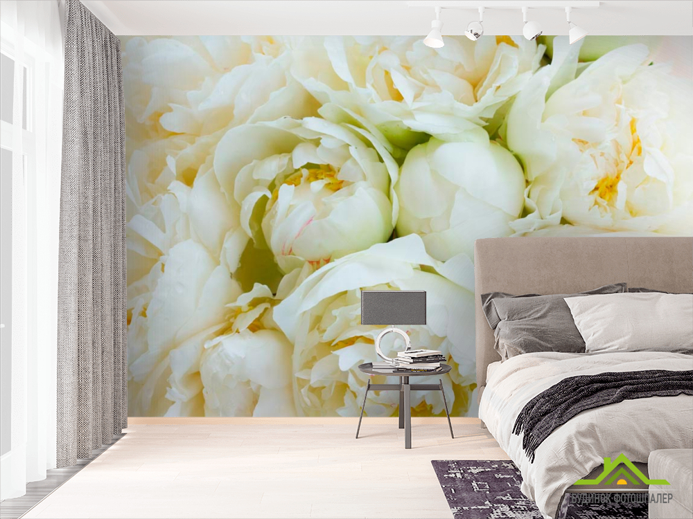 Фотообои Пионы