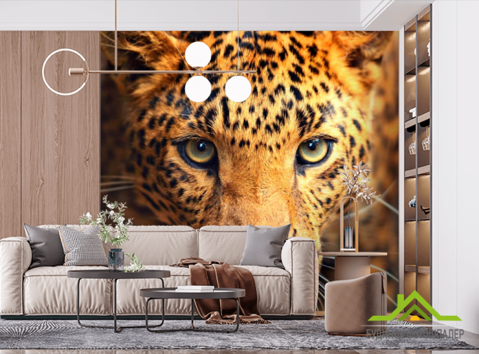 выбрать Фотообои Любопытный гепард Фотообои Гепарды на стену
