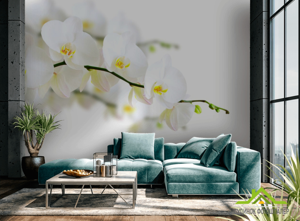 выбрать Фотообои веточка белой орхидеи Фотообои Орхидеи на стену