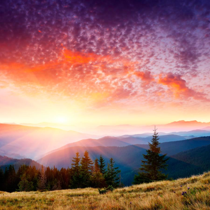 Фотошпалери Зачарований захід сонця