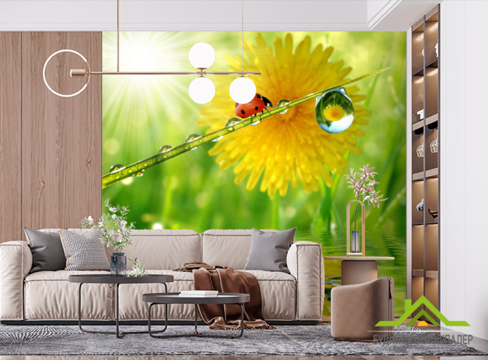 выбрать Фотошпалери божа корівка на аркушику Фотошпалери Природа на стіну