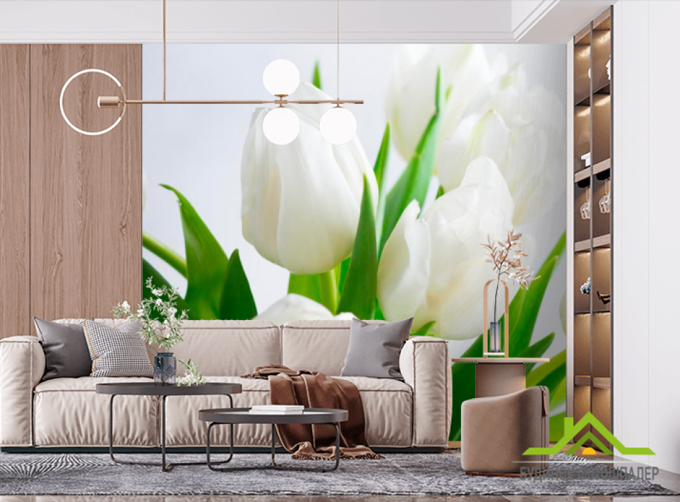 выбрать Фотообои Тюльпаны Фотообои Тюльпаны на стену
