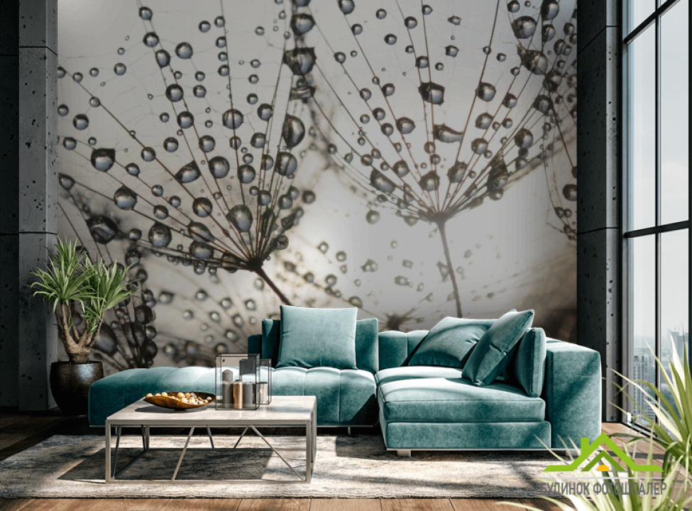 выбрать Фотошпалери краплі і кульбаба Фотошпалери Квіти на стіну