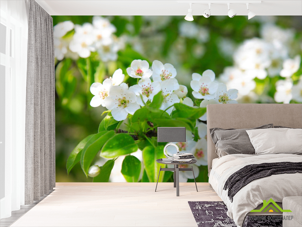 Фотошпалери білі весняні квіточки