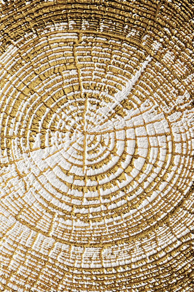 Фотошпалери Золотий зріз дерева