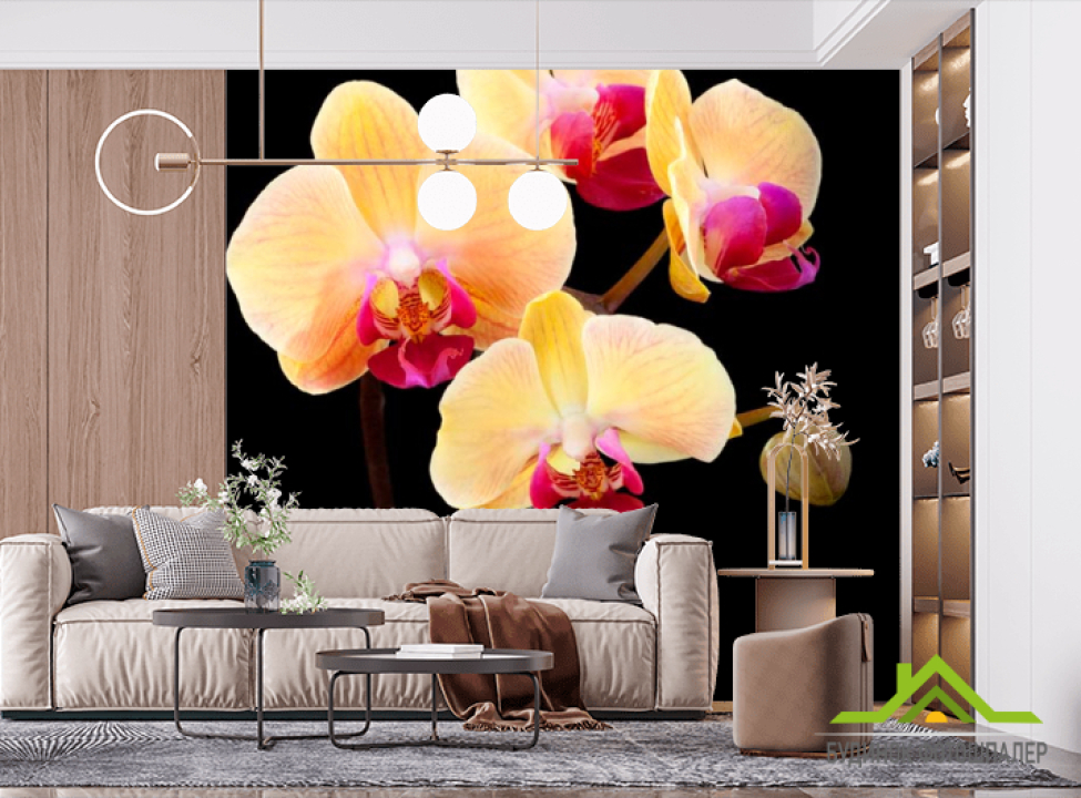 выбрать Фотообои Кремово-бежевые орхидеи Фотообои Орхидеи на стену