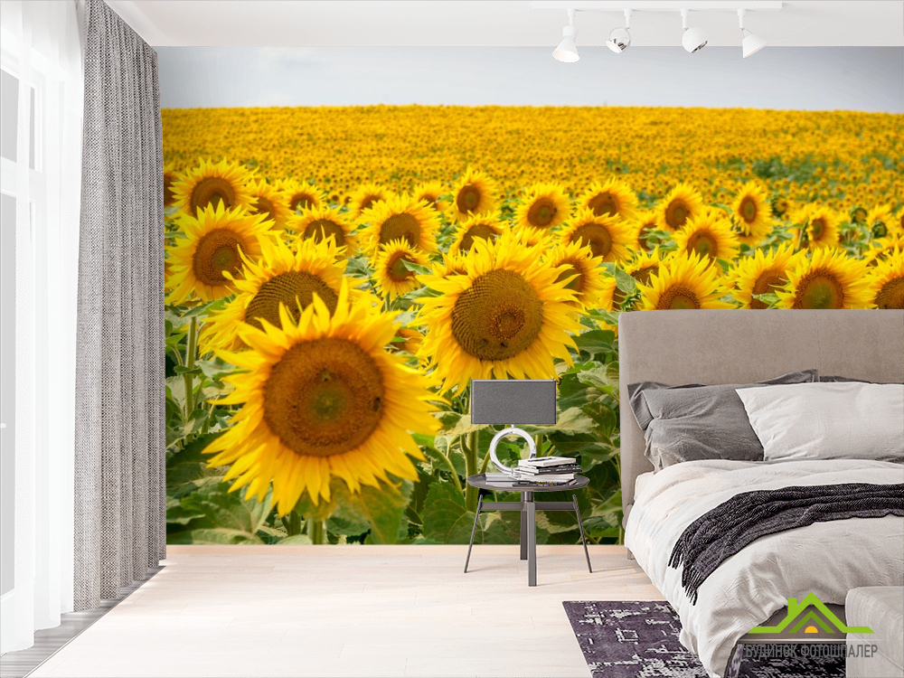 Фотообои поле с подсолнухами