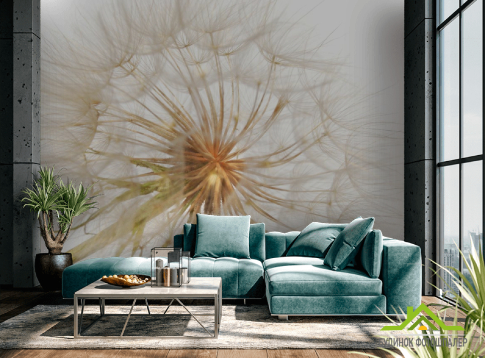 выбрать Фотообои одуванчик на бело фоне Фотообои Одуванчики на стену