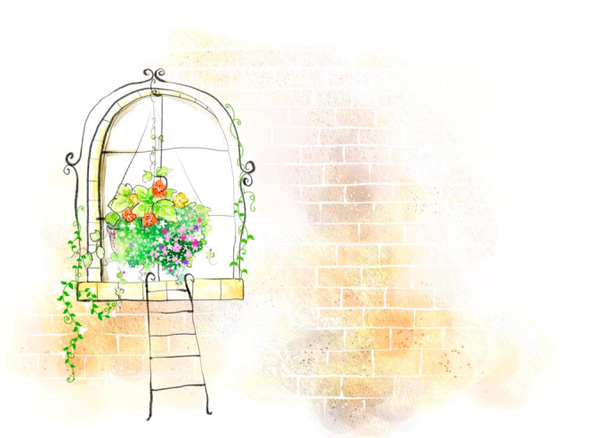 Фотошпалери Вікно