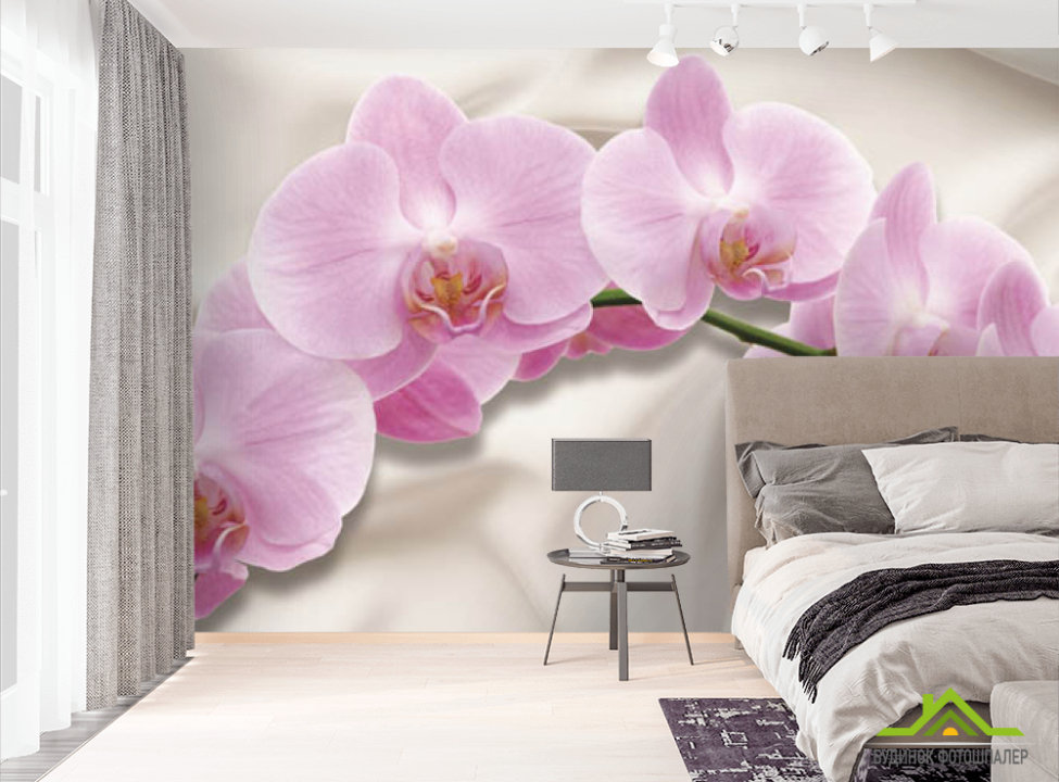 выбрать Фотообои орхидея Фотообои разные на стену