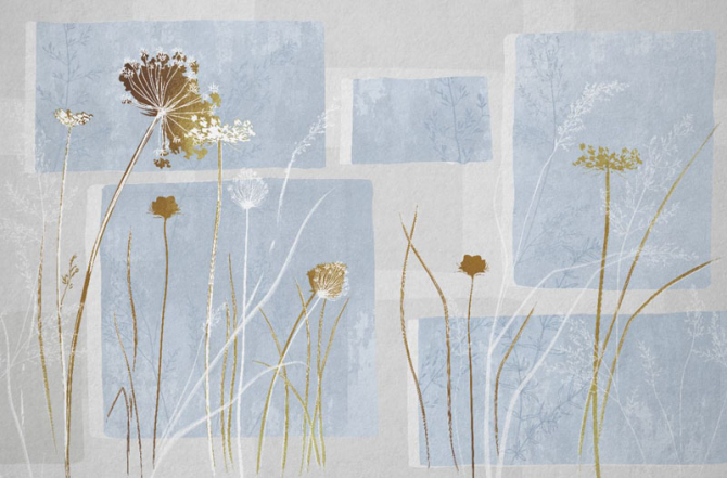 Фотошпалери сухоцвіти на синьому дизайнерському тлі.