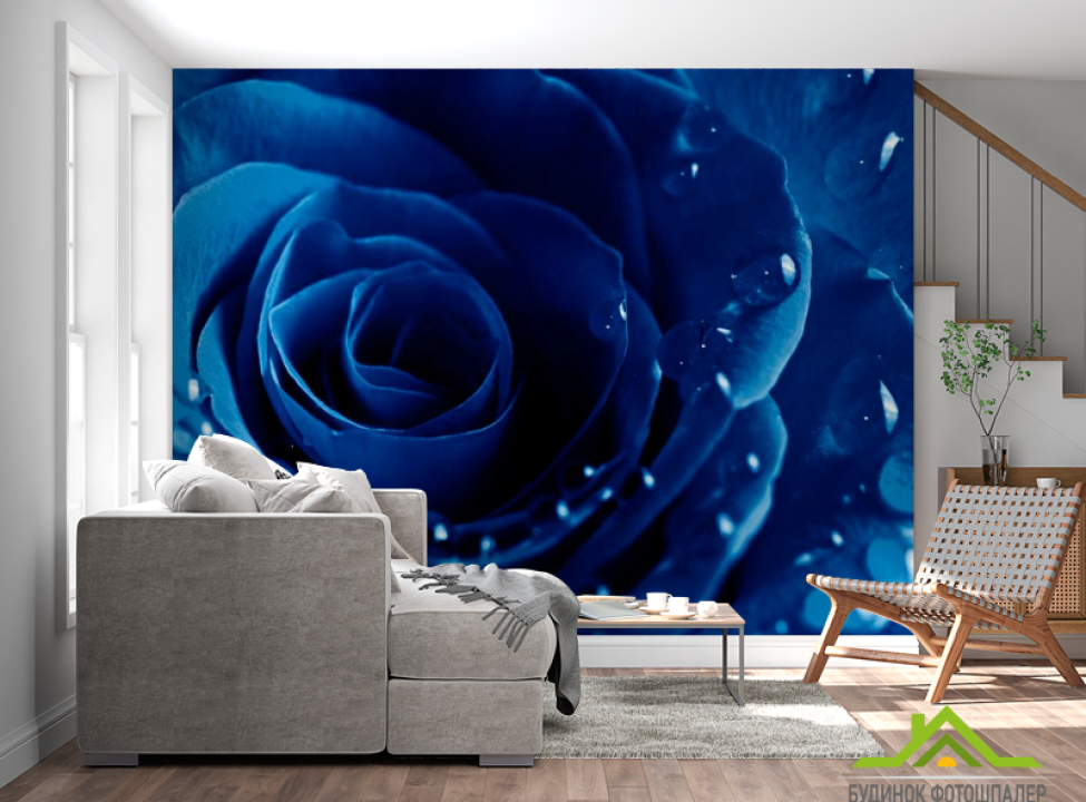 выбрать Фотошпалери Синя троянда з росою Фотошпалери Троянди на стіну