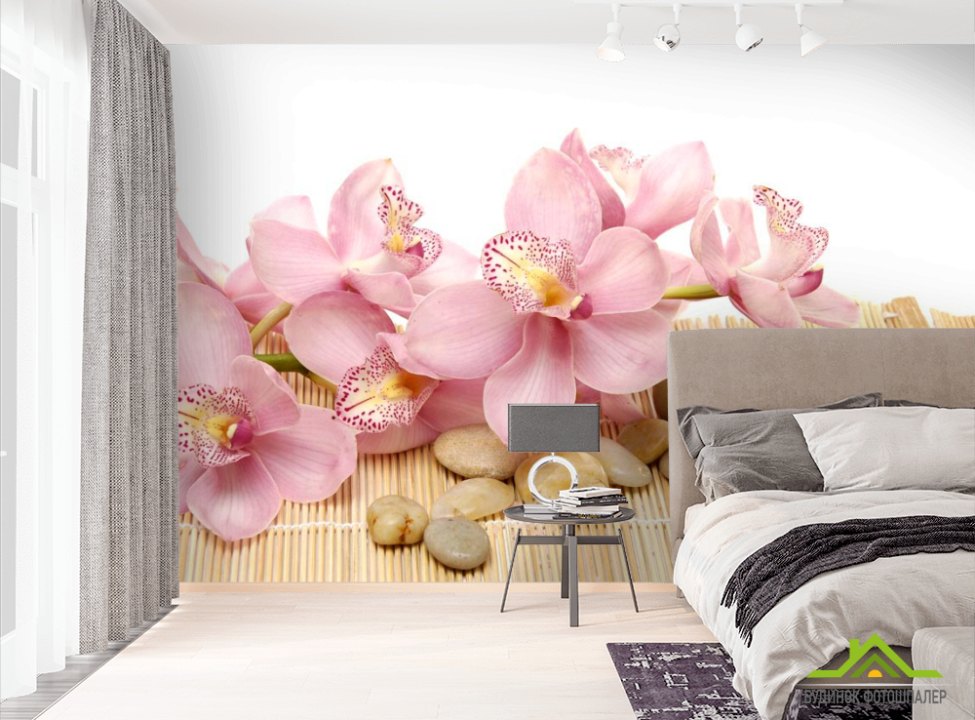 выбрать Фотообои Орхидея Фотообои Орхидеи на стену