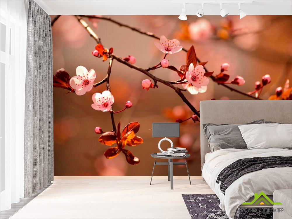 Фотошпалери Дерево вишні розквітає