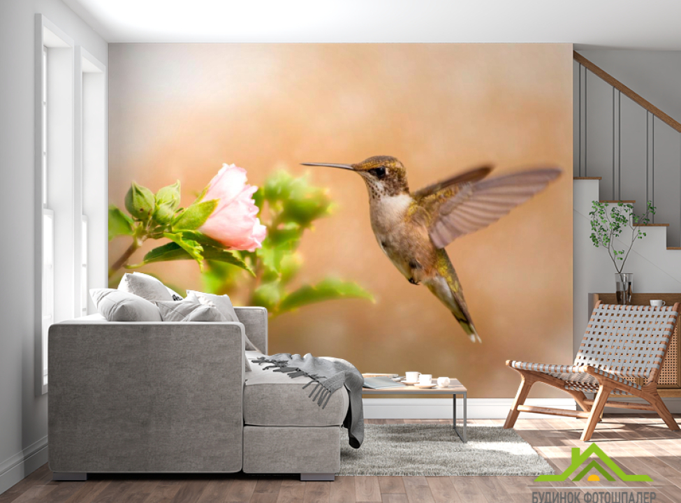 выбрать Фотошпалери Політ колібрі Фотошпалери Птиці на стіну