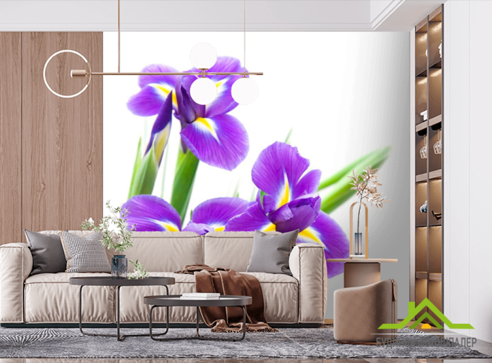 выбрать Фотошпалери Братки фіолетові Фотошпалери Квіти на стіну