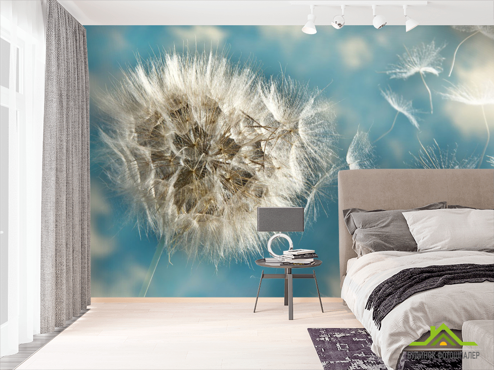 Фотошпалери кульбаби