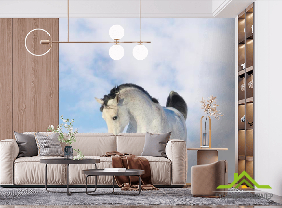 выбрать Фотообои Белый конь Фотообои Лошади на стену