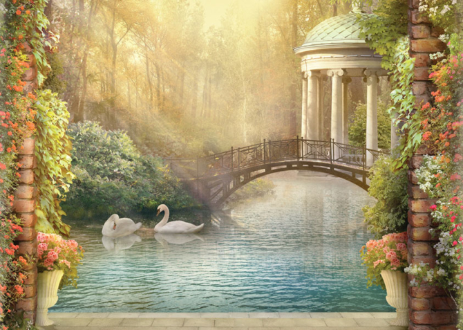 Фотошпалери Лебеді на ставку