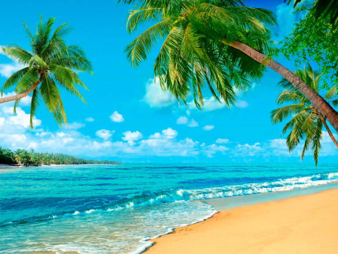 Фотообои Берег океана