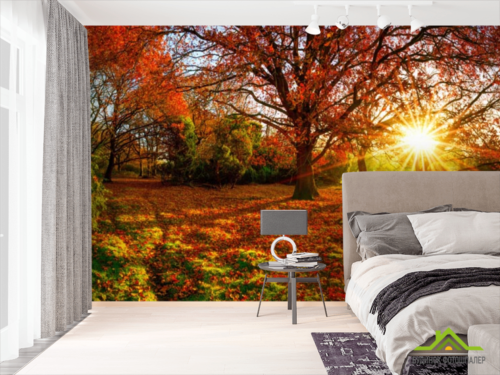 Фотообои красные опавшие листья