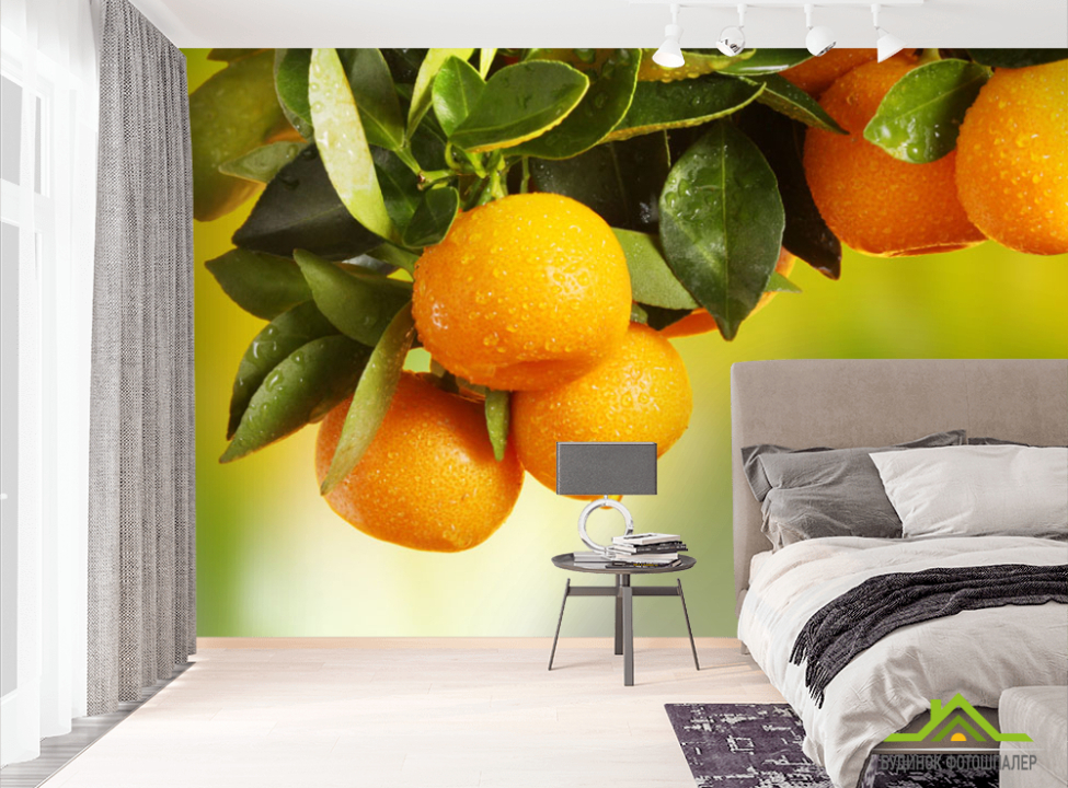 выбрать Фотообои Сочные апельсины Фотообои Еда и напитки на стену