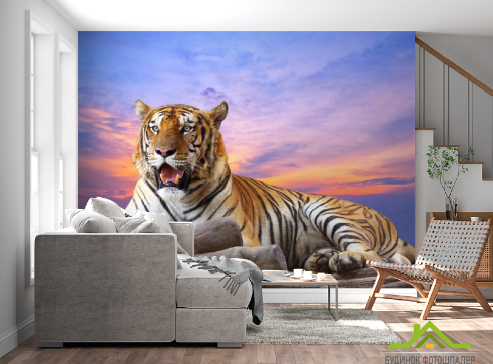 выбрать Фотообои тигр Фотообои разные на стену