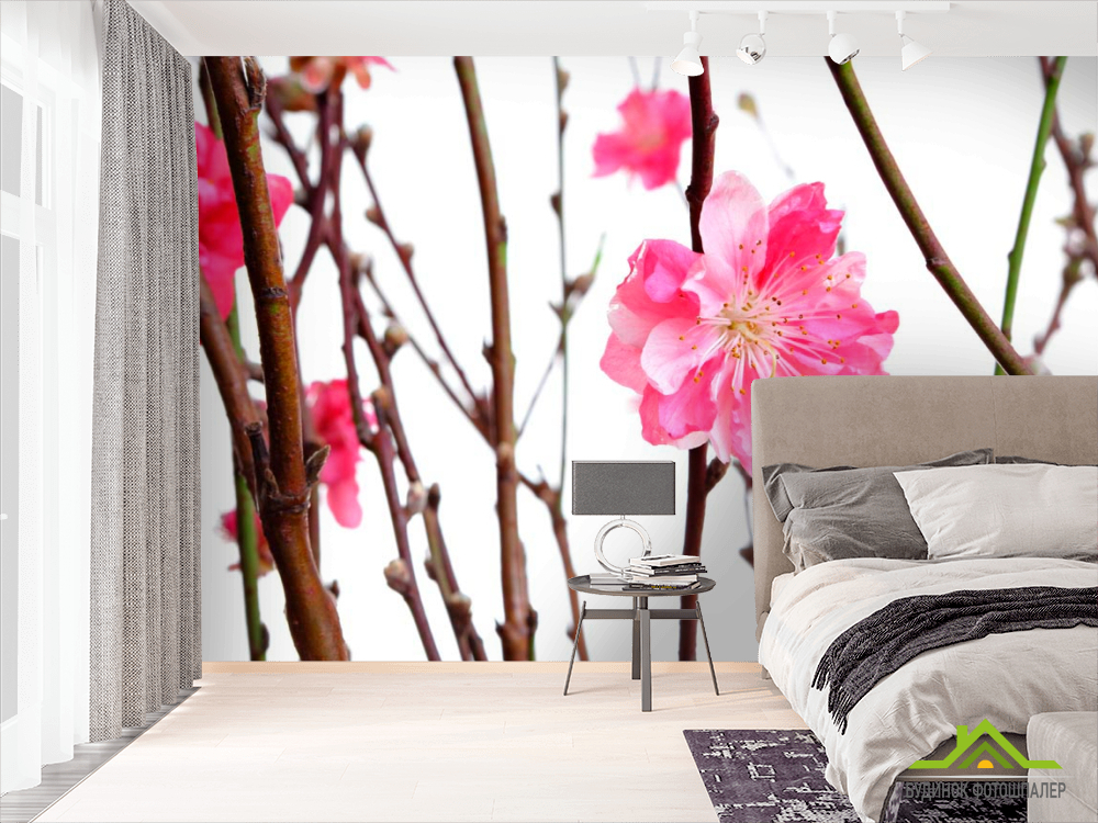 Фотообои Розовый цветок