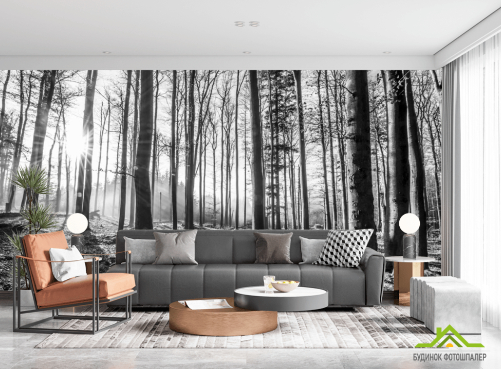 выбрать Фотошпалери сірий ліс Фотошпалери Природа на стіну