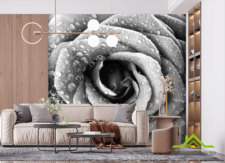 Фотошпалери Фотошпалери Че6рно-біла троянда