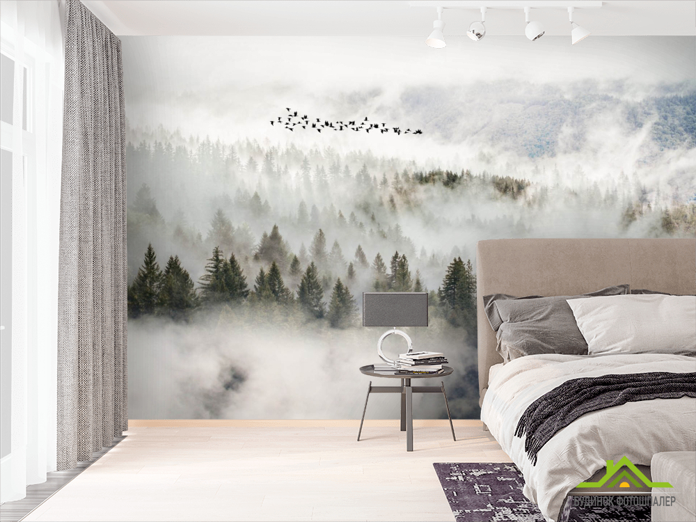 Фотошпалери птиці над туманним лісом