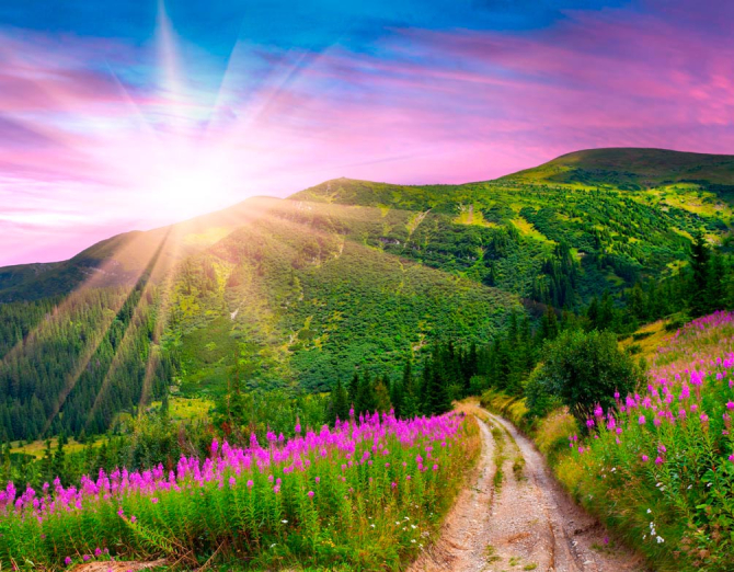 Фотообои Спуск, гора, зелень