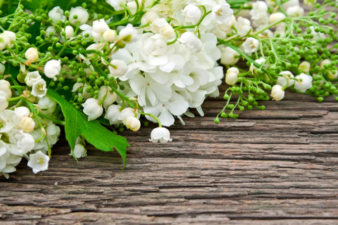 Фотообои Ландыш