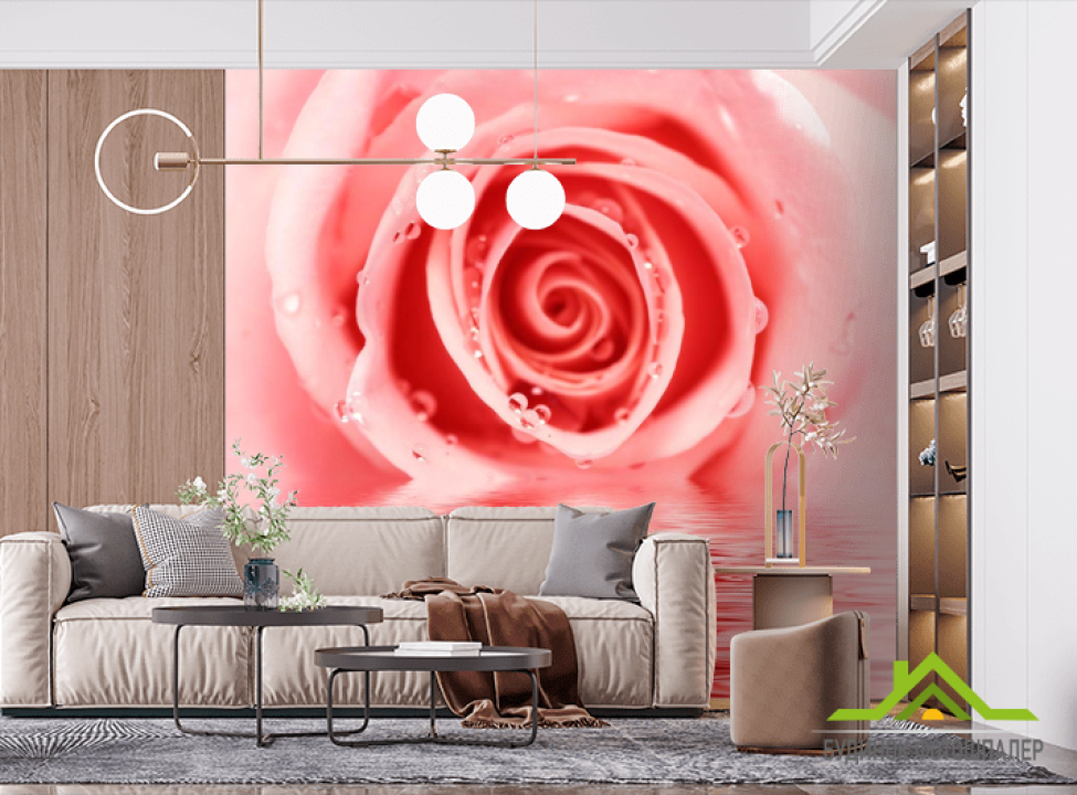 выбрать Фотообои Роза нежного оттенка Фотообои Розы на стену