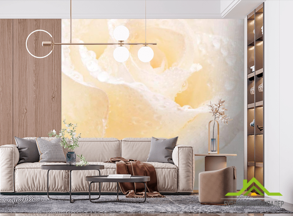 выбрать Фотообои Распустившаяся роза белоснежная Фотообои Розы на стену