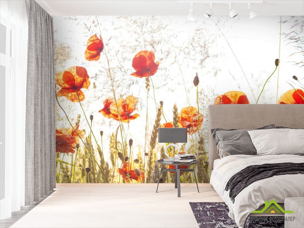 Фотошпалери маки в полі