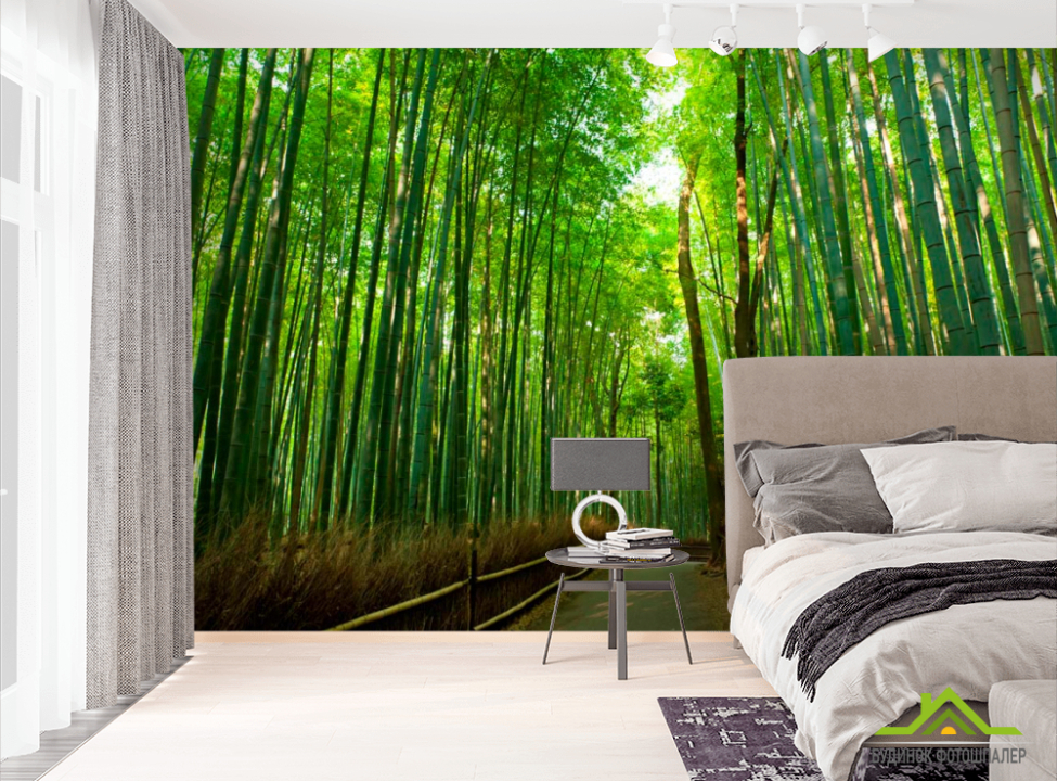 выбрать Фотообои Дорога, много бамбука Фотообои лес на стену